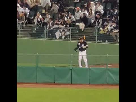 20240501　#中村稔弥　投手　ﾌﾞﾙﾍﾟﾝで投球練習　#shorts　千葉ﾛｯﾃﾏﾘｰﾝｽﾞ　投球ﾌｫｰﾑ@ほっともっとﾌｨｰﾙﾄﾞ神戸･ﾚﾌﾄ外野