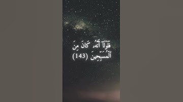 السورة: الصافات / القارئ: عمير شميم/ الآية: 142-146