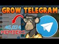How to Promote NFTs on Telegram