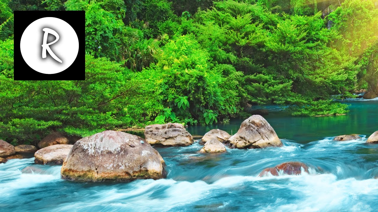 Relaxing Nature Sounds   Water Sound 24 Hours Gentle River  Stream