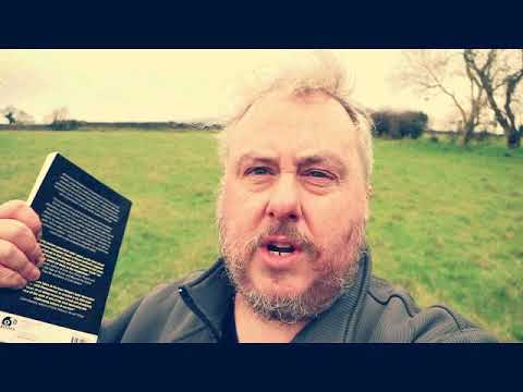Evolutionary Metaphors by David J Moore - BOOK REVIEW - megaliths in america
