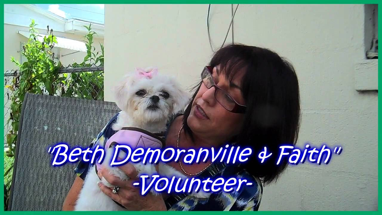 Florida Little Dog Rescue