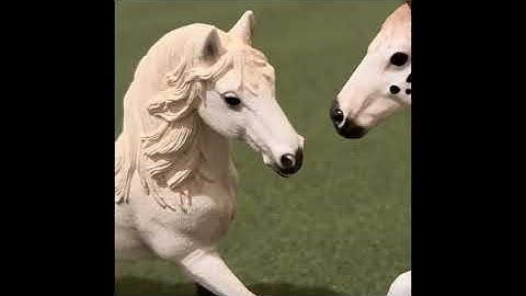 Schleich horse music video: Hunny by:Taylor Swift
