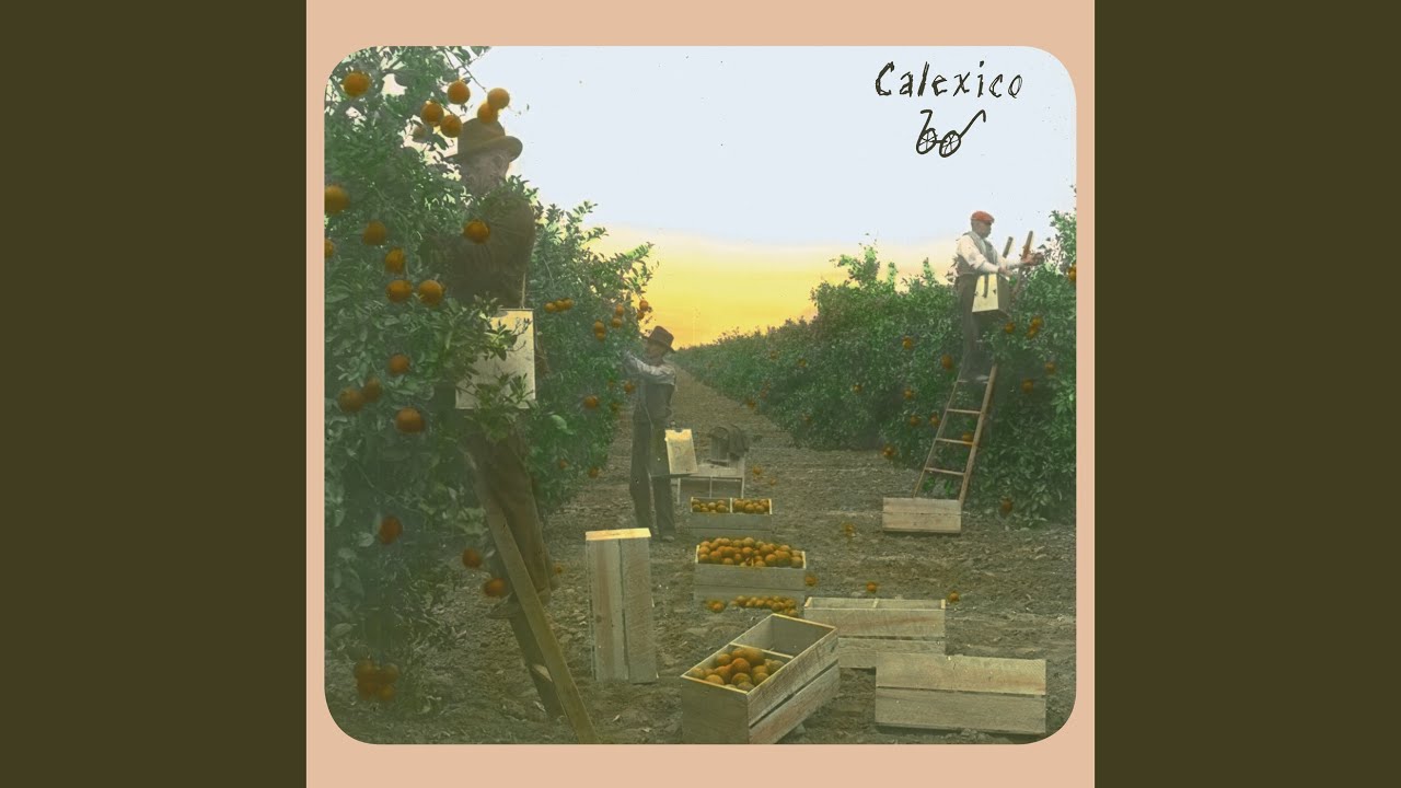 Guarda Sanchez su YouTube Guarda Sanchez su YouTube