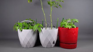 DIY Automatic Plant Watering System by Maker 101 81,107 views 2 years ago 4 minutes, 49 seconds