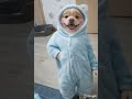 story video #trending #ai #shorts #cat #cartoon #ytshorts #hindi #viral #funny #aivideo #viralvideo