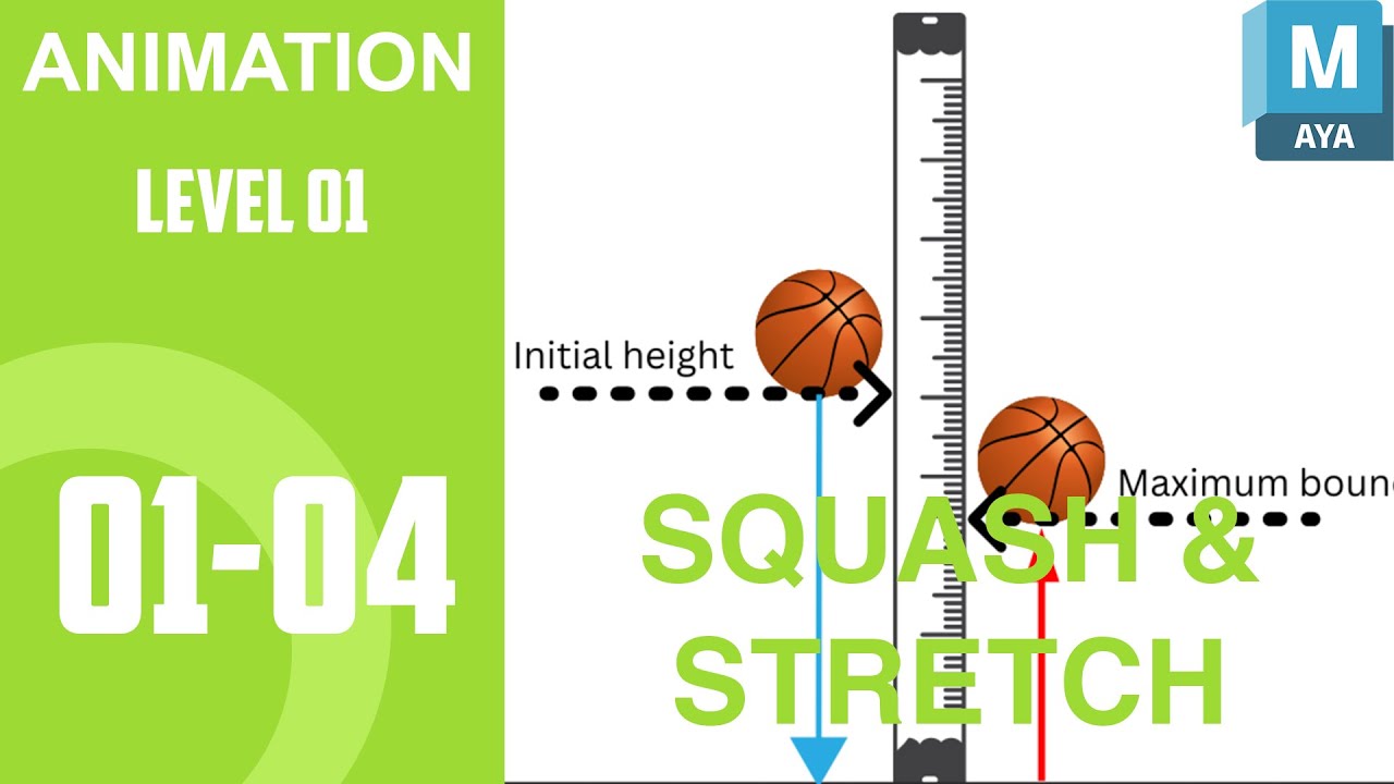 ANIMATION | LEVEL 01_04 : SQUASH & STRETCH BALL ( PART 1 ) - YouTube