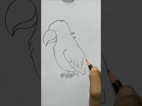 Realistic Parrot Drawing 🦜 | 1 Minute Art Magic ✨”#parrot#drawing #simple