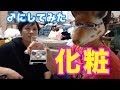 化粧動画♡パンチラあり、セクシー美女?に変身させてみたんだから♡