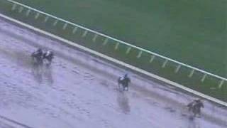 2007 Breeders' Cup Dirt Mile