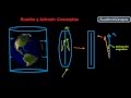 Ángulos Horizontales: Rumbo y Azimut, conceptos y ejemplos