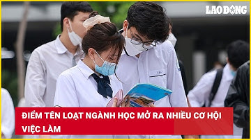 Điểm tên loạt ngành học mở ra nhiều cơ hội việc làm | Báo Lao Động