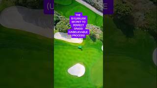 The Hidden Art of the Green: Secrets Behind a Perfect Golf Course #shorts #viral #trending #endfield