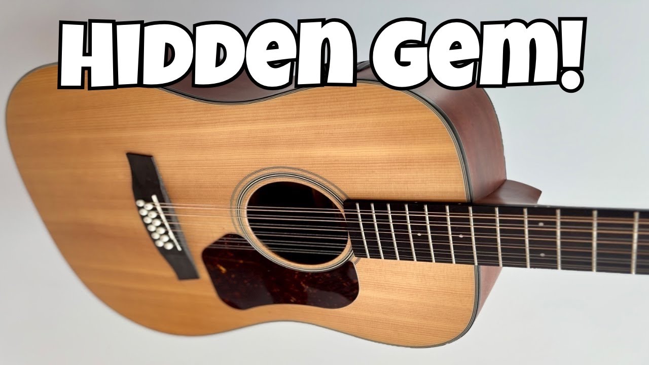 Walden 12 String Electro Acoustic | Full Tone Test & Verdict - YouTube