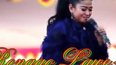 NEW PALLAPA LILIN HERLINA ANDAI