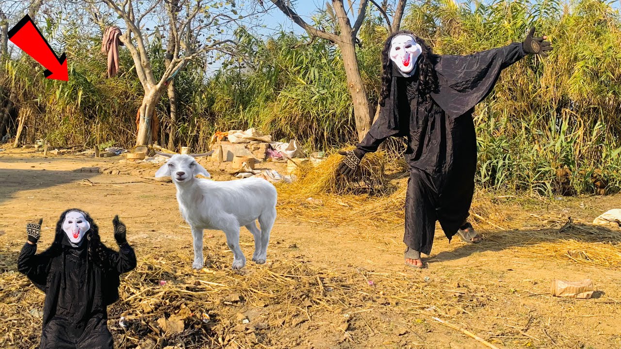 Bhoot ne goat k sath Kia kr dia Vs Bhoot 👻#bhoot #ghost Burger