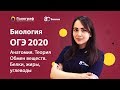 ОГЭ по Биологии 2020. Человек и его здоровье. Обмен веществ. Белки, жиры, углеводы