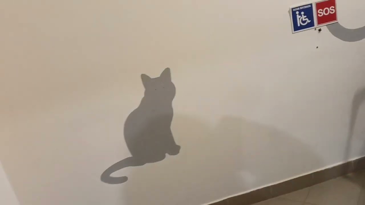 19 февраля и мы в пути,едем с Юга в Сибирь на машине 