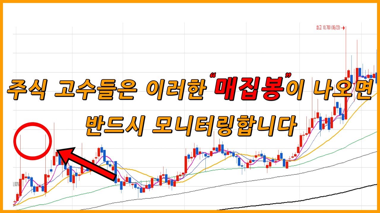 고민하다 공개하는 