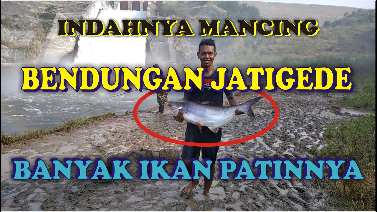 Indahnya Mancing Patin di Bendungan JatiGede - Banyak Ikan Patinnya