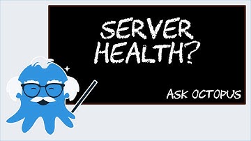 Ask Octopus - Can I check my server health with the API?