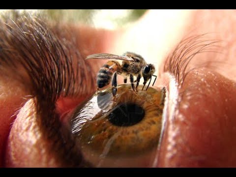 Dahshatli jinsiy marosimlar