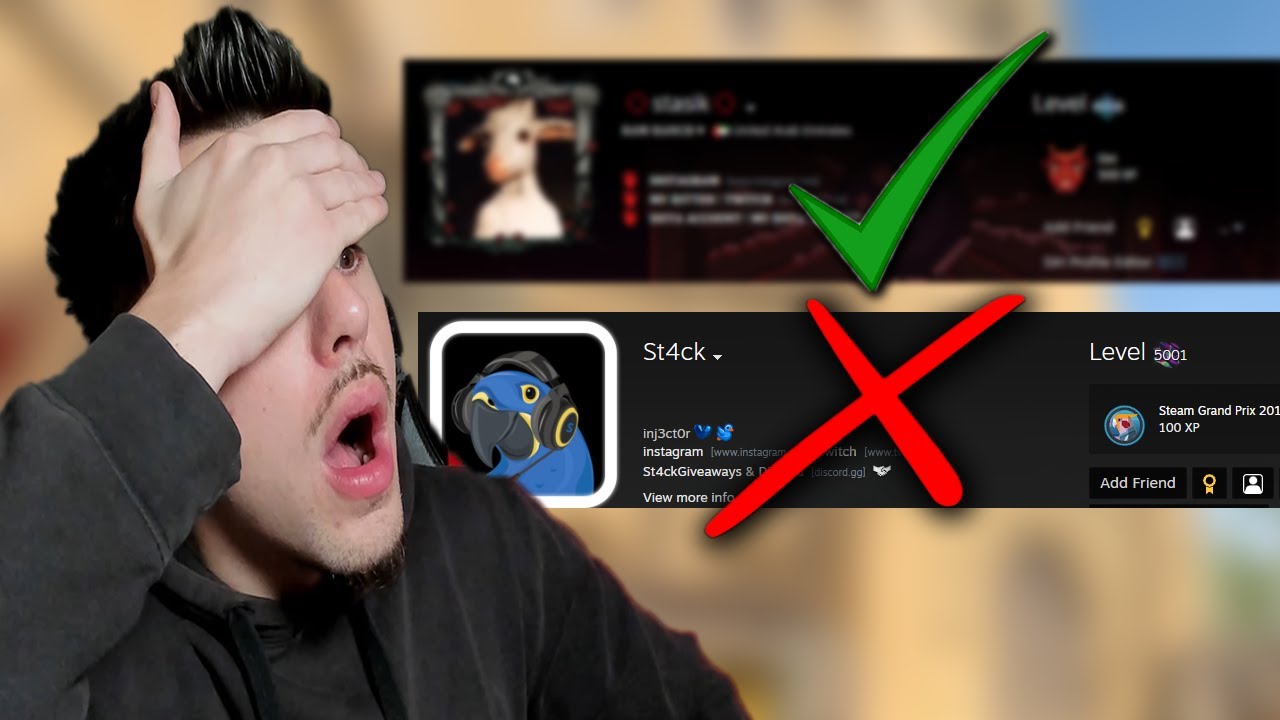 Cine are CEL MAI MARE LEVEL PE STEAM? (nu e st4ck)