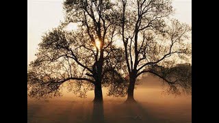 Fellowships for Remote Workers #nomad #digital #fellowship #lifestyle  #howto screenshot 2