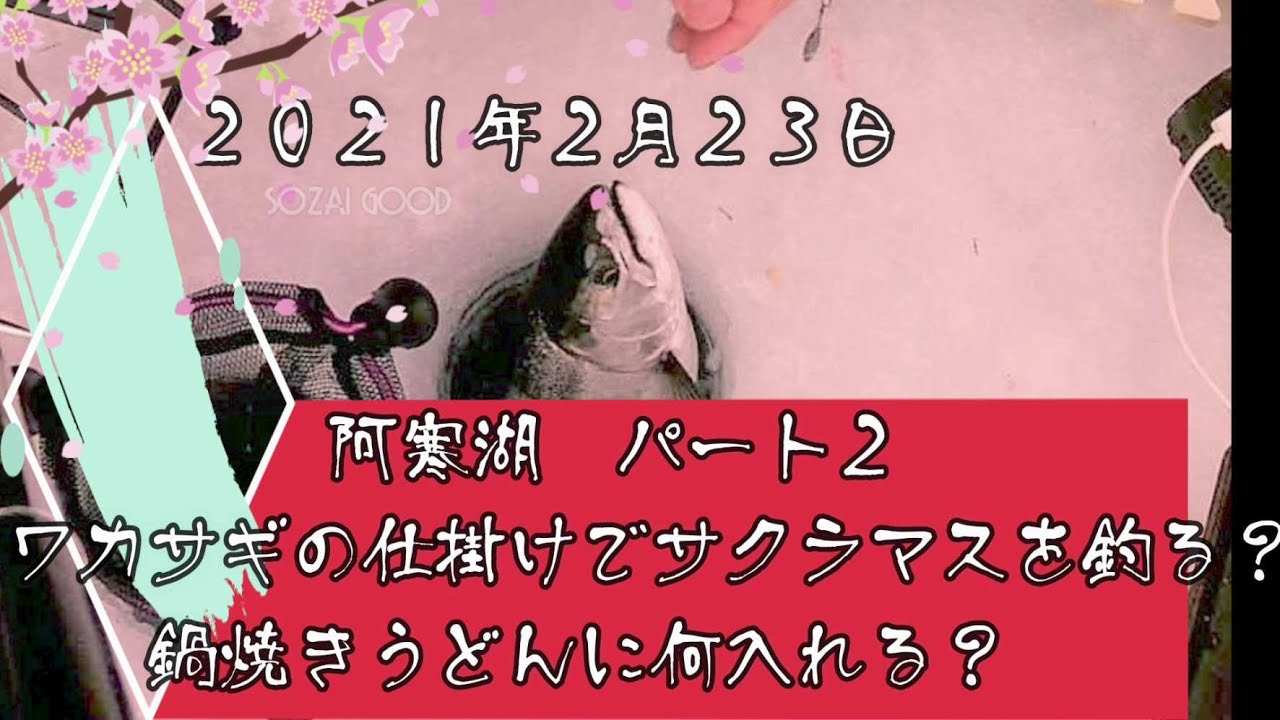 阿寒湖 パート２ ワカサギの仕掛けでサクラマスを釣る Youtube