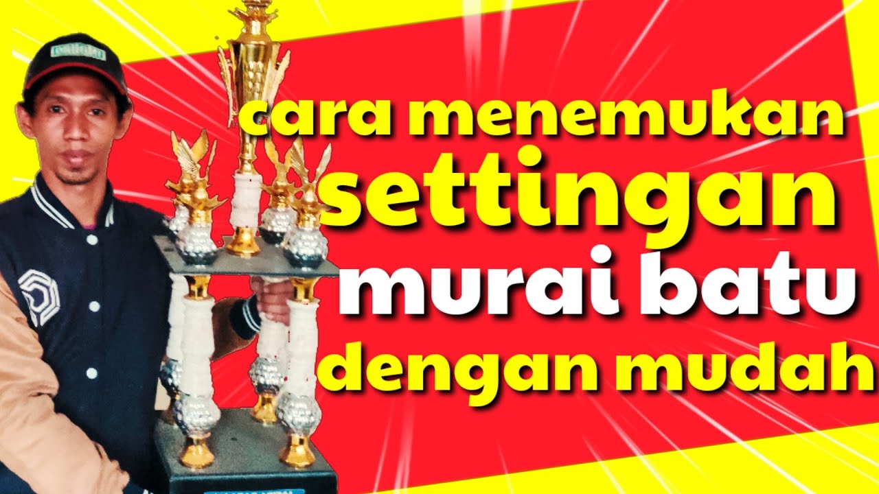 perawatan dan setingan murai batu sesuai karakternya