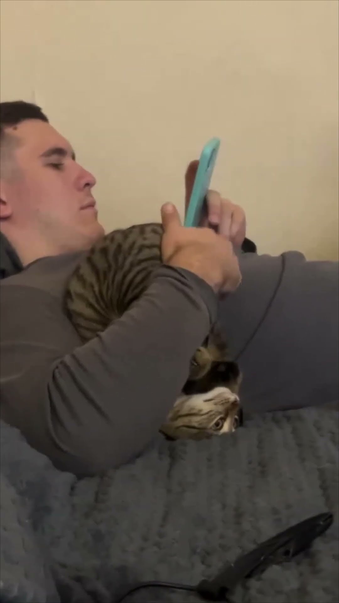 Cat Takes a Comfy Position Upside-Down Next It's Owner