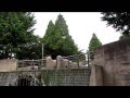 Team footstamp PARKOUR@2010