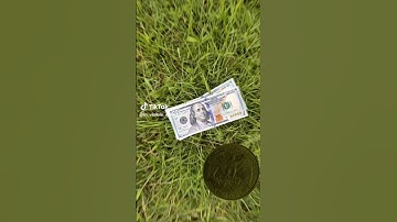 Money Zoom 100x #shorts #shortsfeed