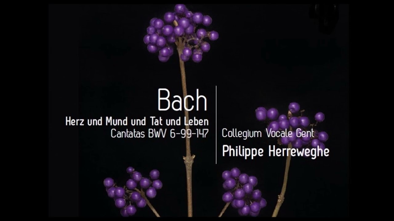J. S. Bach - Cantatas BWV 6-99-147 - Ph. Herreweghe - YouTube