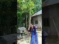 শেষ পর্যন্ত জাম্বুরা কি ভাবে পেরেছিলাম!!!🫒🫒🫒#funny #comedy #nature #love