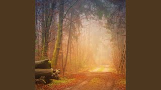 Walking Towards the Light (Original Motion Picture Soundtrack)