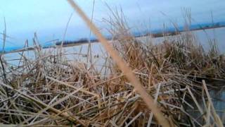 public refuge hunting sac valley