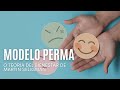 MODELO PERMA o teoría del bienestar de Martin Seligman (La fórmula de la felicidad)