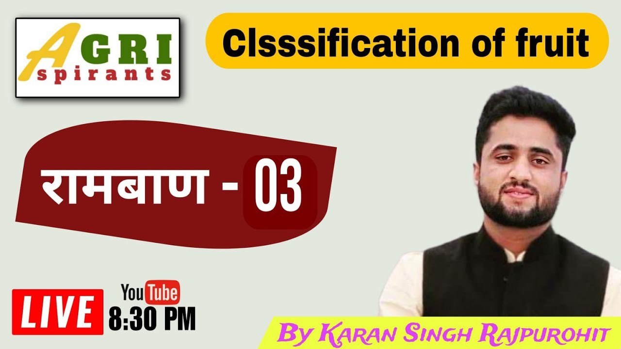 classification of fruits