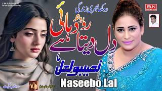 Dil Deta Hai Ro Ro Duhai | Naseebo Lal | New Punjabi Super Hit Sad Song 2026