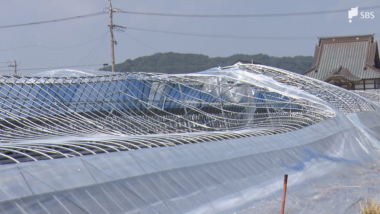 「これで辞めたら一生後悔する」国内最大級の竜巻 被害にイチゴ農家は言葉失うも再起誓う=静岡