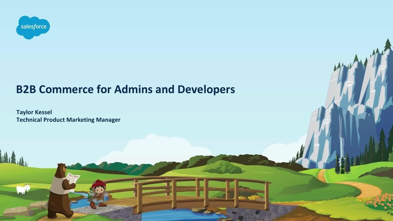 B2B for Admins and Developers: Best Practices for Implementation