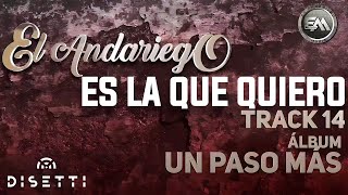 El Andariego - Es La Que Quiero (Audio Oficial) | Música Popular chords