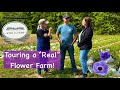 Tour of a Working Flower Farm 🌼➕Good Stuff We Need to Know ‼️