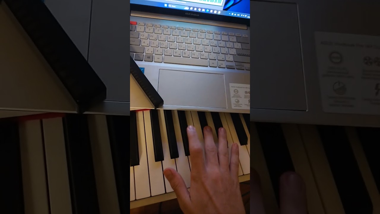 Rammstein - Laichzeit keyboard sample ORCH2