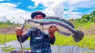 Download Lagu TOMAN GOBLIN DANAU ANGKER !!! Trip 2 Hari Mancing Hanya 1 Jam 😨 MP3