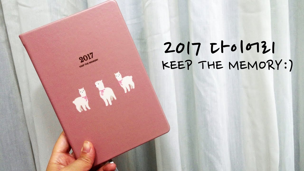 2017 다이어리 KEEP THE MEMORY, 데일리라이크/ 2017 diary KEEP THE MEMORY