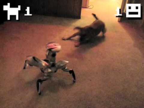 Puppy Vs. Robot! Epic Battle For Territorial Domination!
