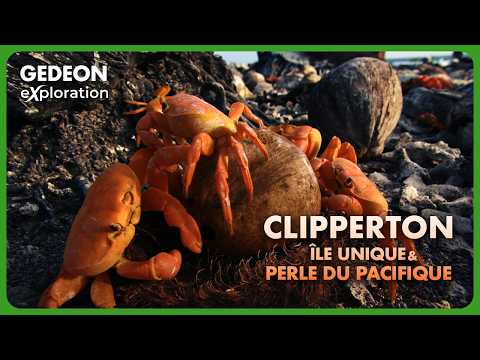 A Mysterious Hole in the Heart of the Pacific: Clipperton Reveals Its Secrets | GEDEON EXPLORATION