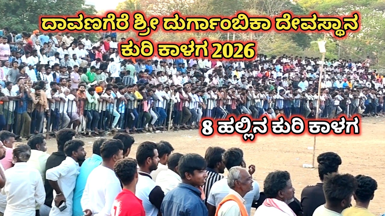 8 ಹಲ್ಲಿನ ಕುರಿ ಕಾಳಗ | ದಾವಣಗೆರೆ ಶ್ರೀ ದುರ್ಗಾಂಬಿಕಾ ದೇವಸ್ಥಾನ ಕುರಿ ಕಾಳಗ 2026 | Davangere Jatre 2026